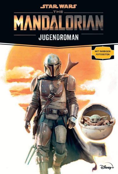 Star Wars The Mandalorian