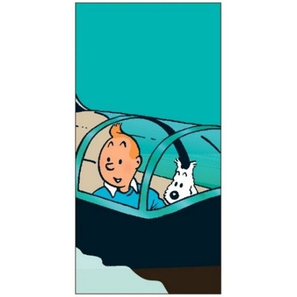 Tim und Struppi Strandtuch 80x160cm U-Boot