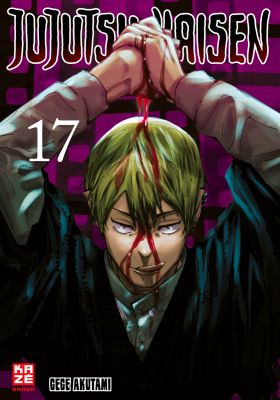 Jujutsu Kaisen 17