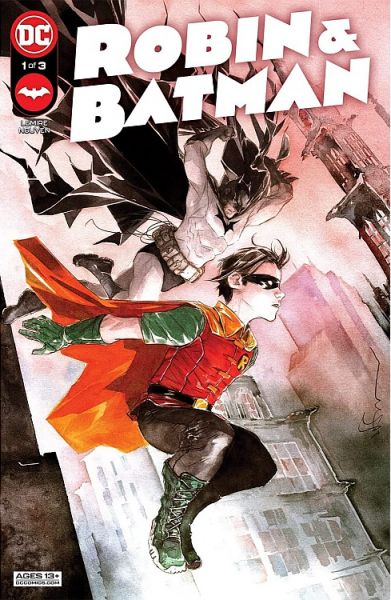 Robin und Batman Der Weg zum Helden
