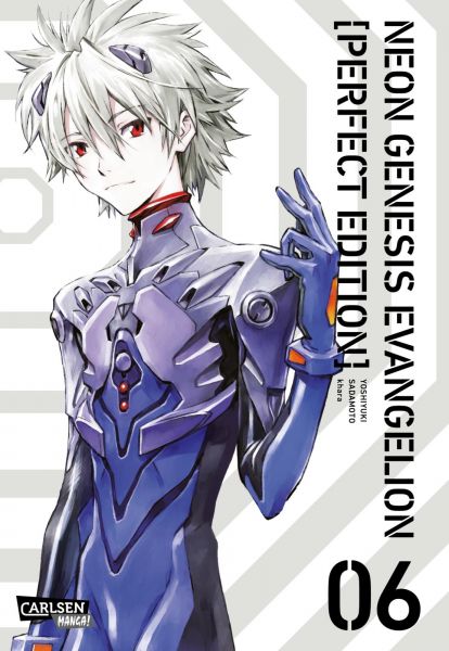 Neon Genesis Evangelion Perfect Edition 06