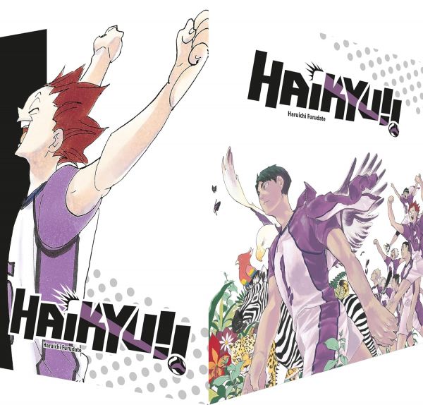 Haikyu!! 31-40 im Sammelschuber