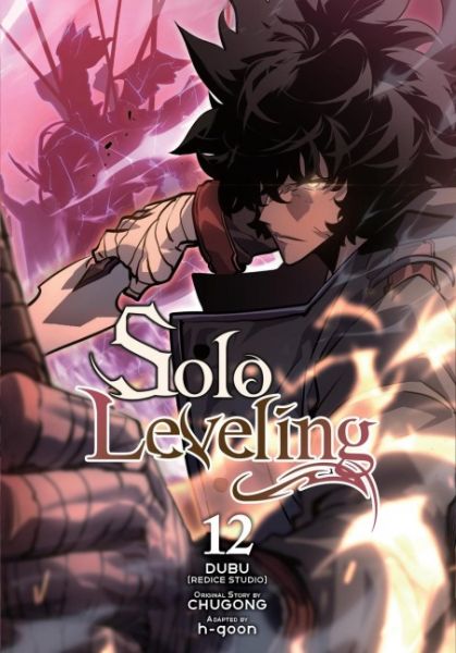 Solo Leveling 12 (englisch)