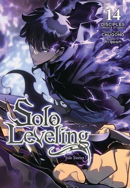 Solo Leveling 14 (englisch)