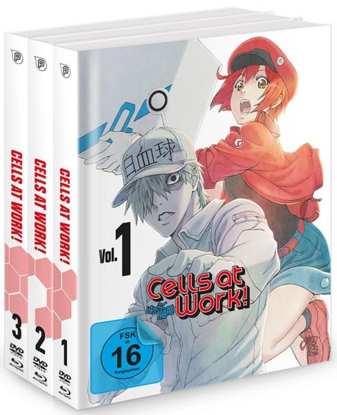 Cells at Work! 1.Staffel Gesamtausgabe Blu-ray+DVD