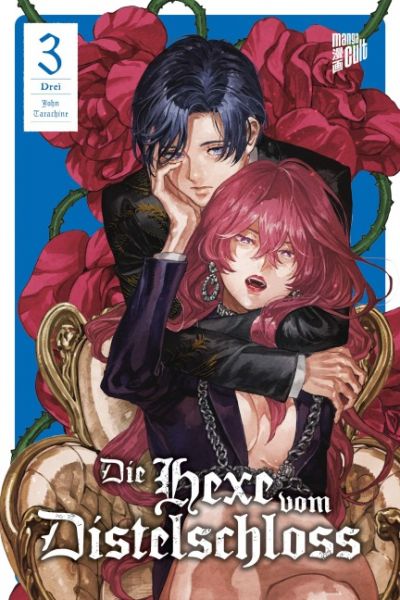 Die Hexe vom Distelschloss 03