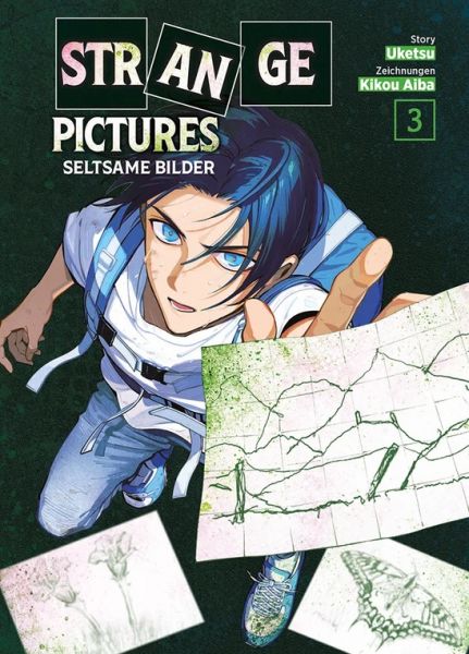 Strange Pictures Seltsame Bilder 03