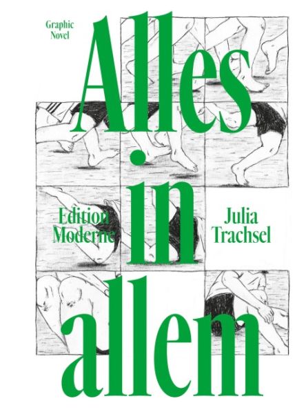 Alles in allem (Graphic Novel)