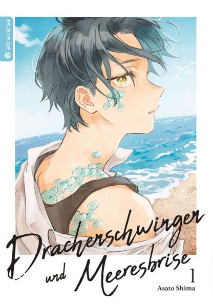 Drachenschwingen und Meeresbrise 01