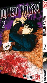 Jujutsu Kaisen 02
