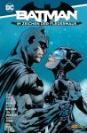 Batman Im Zeichen der Fledermaus