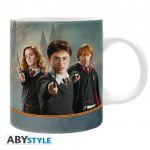 Harry Potter Tasse 320 ml Harry & Co.