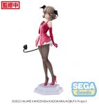 Rascal Does Not Dream of Bunny Girl Senpai PVC Statue Desktop x Decorate Collections Tomoe Koga 16 cm