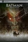 Batman die Chroniken des dunklen Ritters 08 Arkham  Asylum