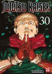 Jujutsu Kaisen 30