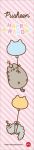 Pusheen Geburtstagskalender Langplaner