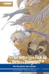 Is it wrong to try to pick up Girls in a Dungeon? Light Novel 11