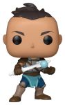 Avatar The Last Airbender Funko POP! Animation Vinyl Figur Sokka (Lost Realm) 9 cm